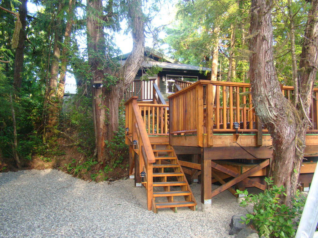 הוילה Tofino Forest View Cabin By Cox Bay חדר תמונה